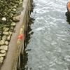 bootstour2009-019