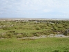 dsc04053