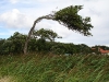 dsc04115