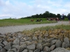 neuwerk07-06