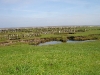 neuwerk07-30