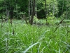 kutsche-09