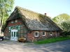 reetdach-01