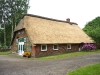 reetdach-22