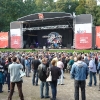 stray-cats-hamburg-2008-01