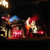 stray-cats-hamburg-2008-010