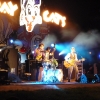 stray-cats-hamburg-2008-011