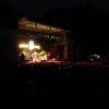 stray-cats-hamburg-2008-012