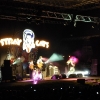 stray-cats-hamburg-2008-013