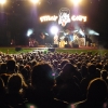 stray-cats-hamburg-2008-015
