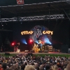 stray-cats-hamburg-2008-04