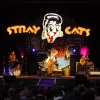 stray-cats-hamburg-2008-05