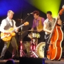 stray-cats-hamburg-2008-07