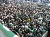 schalke0011